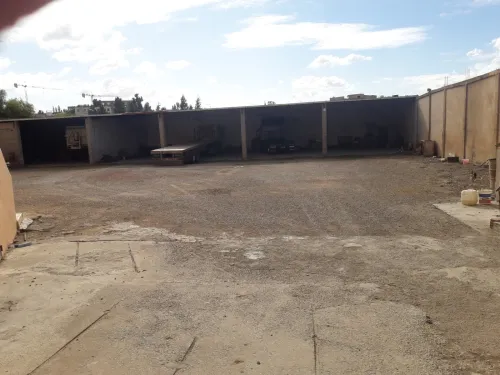 Vente Hangar Chlef Chlef