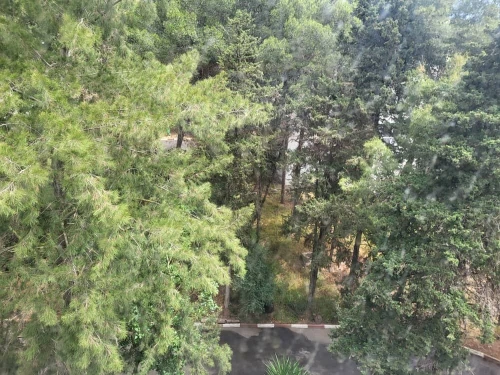 Vente Appartement F3 Alger Hydra