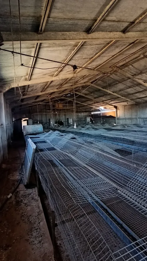 Vente Hangar Djelfa Ain oussara