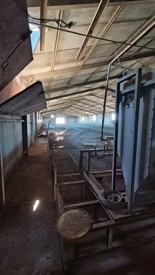 Vente Hangar Djelfa Ain oussara