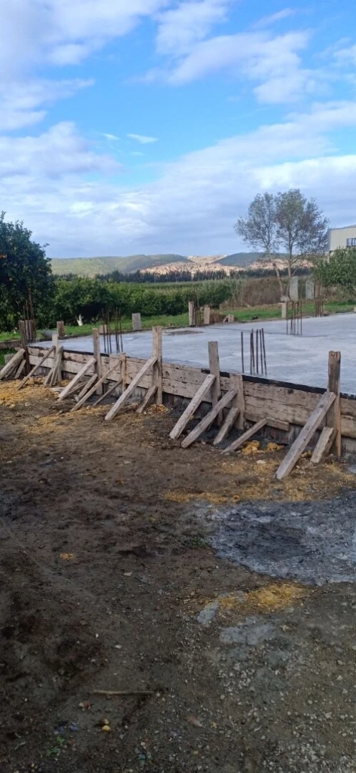 Vente Terrain Blida Mouzaia