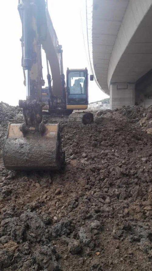 Cat Cat 323 dl 2 2017