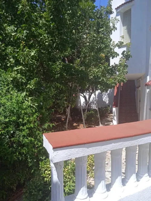 Location Villa Alger Ben aknoun