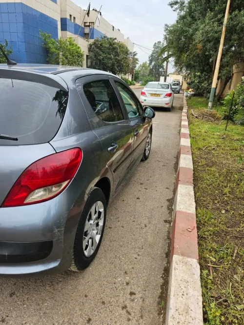 Peugeot 207 2010 207