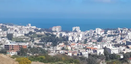 Vente Terrain Annaba Annaba