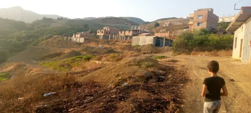 Vente Terrain Blida Bougara