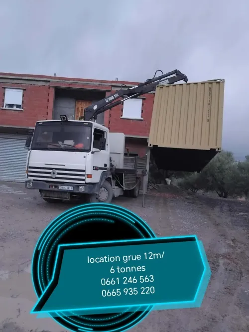 Location grue 6 tonnes/12mètre
