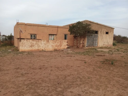 Vente Terrain Agricole Saïda Ain el hadjar