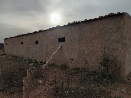 Vente Terrain Agricole Saïda Ain el hadjar