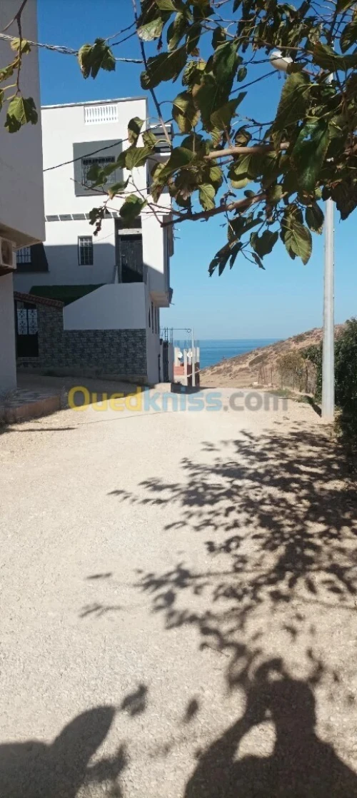 Vente Terrain Tlemcen Souk tlata
