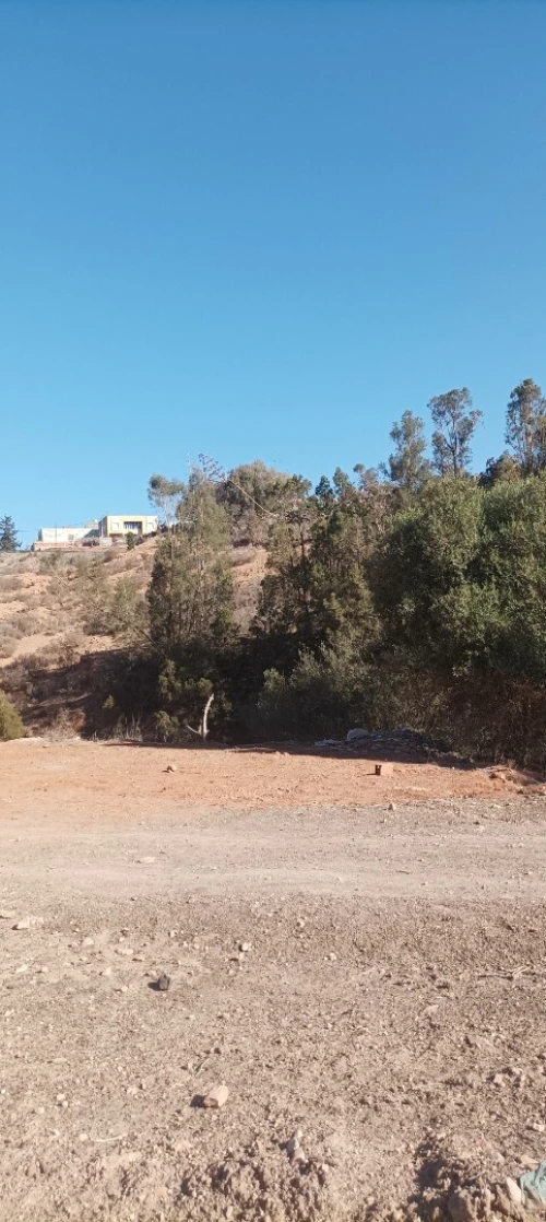 Vente Terrain Tlemcen Souk tlata