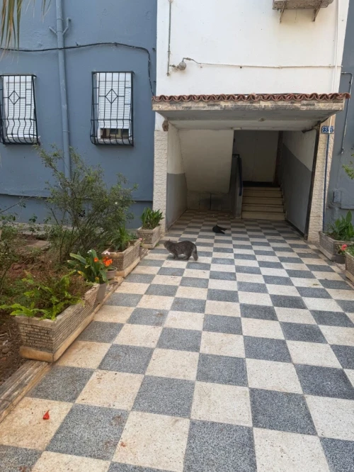 Vente Appartement F4 Tipaza Bou ismail