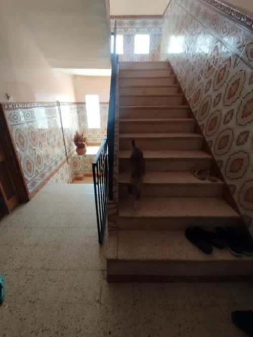Vente Villa Saïda Saida