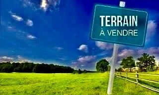 Vente Terrain Tipaza Kolea