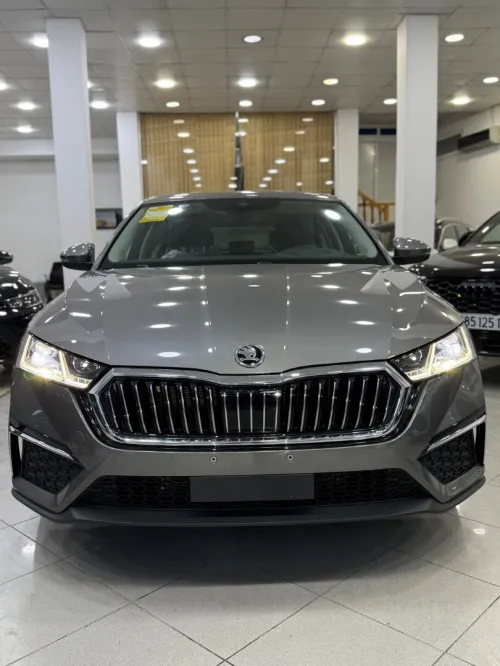 Skoda Octavia 2025 Pro