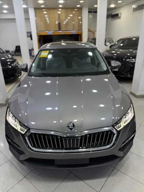 Skoda Octavia 2025 Pro