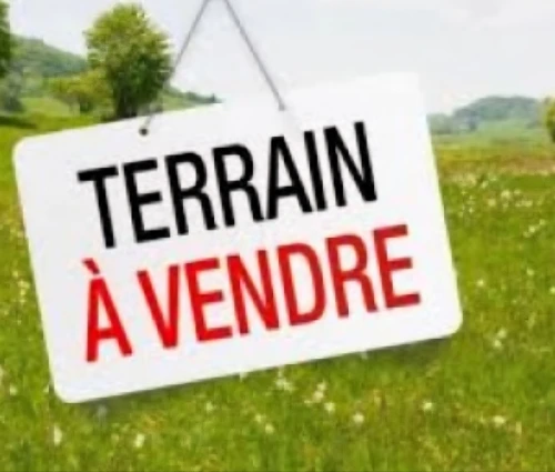 Vente Terrain Alger Cheraga
