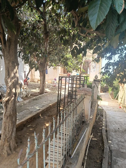Vente Terrain Alger El mouradia