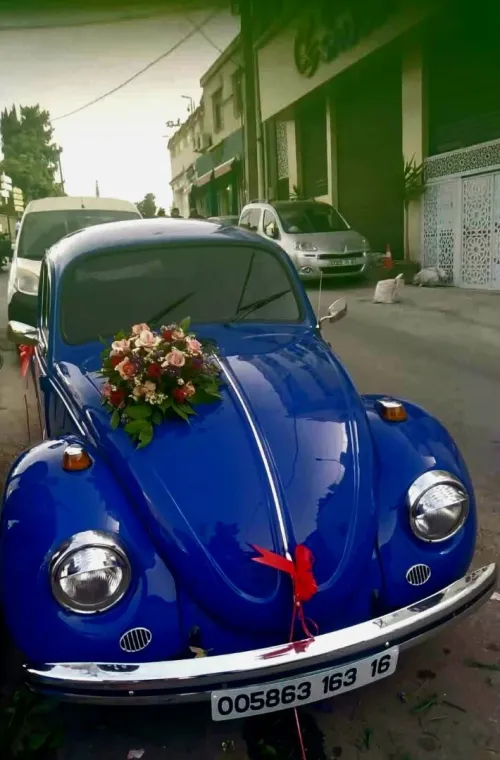 Volkswagen Coccinelle 1963 9 ch