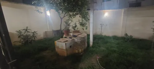 Vente Villa Alger Souidania