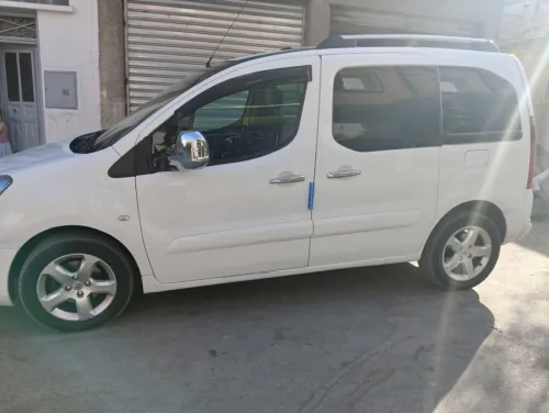 Peugeot Partner 2011 Tepee