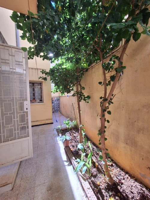 Vente Villa Alger Ouled fayet