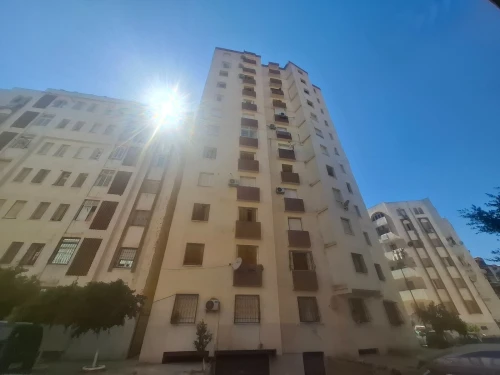 Location Local Alger Saoula
