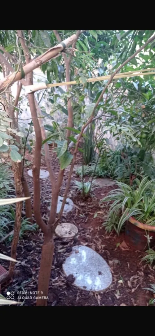 Vente Villa Alger Draria