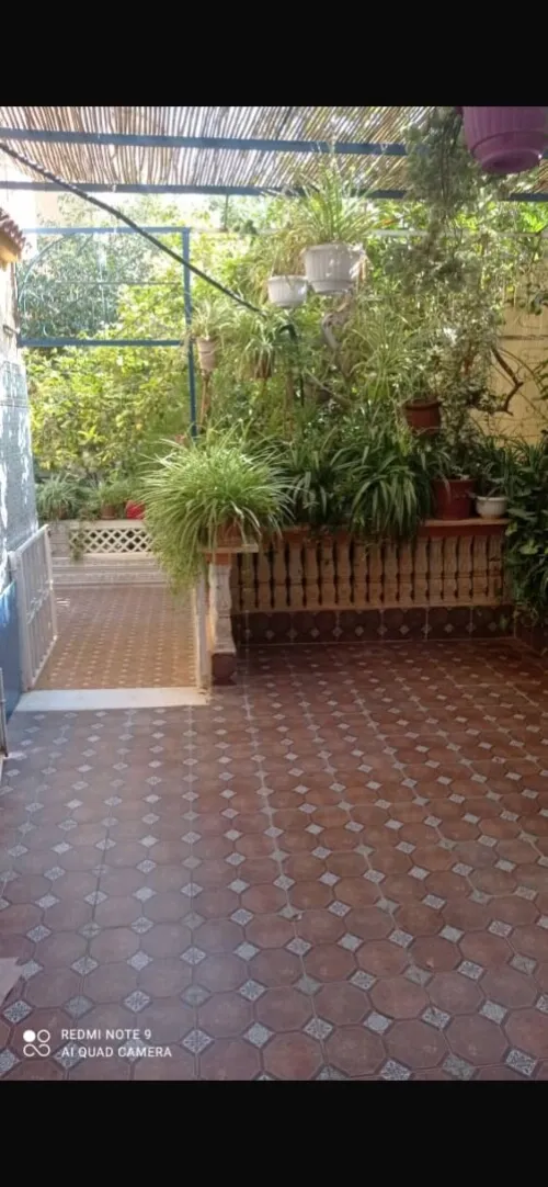 Vente Villa Alger Draria