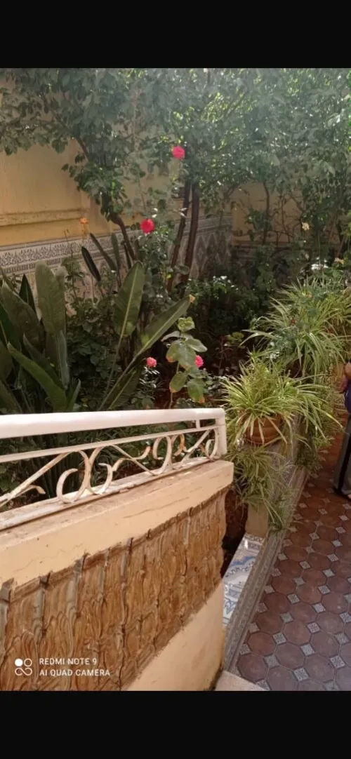 Vente Villa Alger Draria