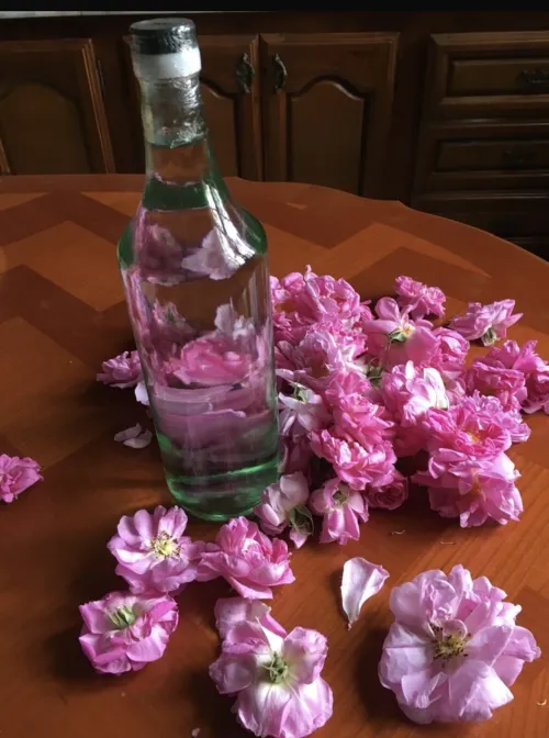 Eau de rose