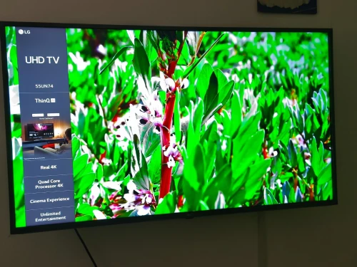 TÉLÉVISEUR SMART TV 4K LG 55''