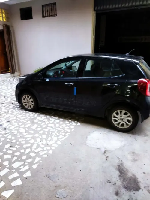 Kia Picanto 2019 EX