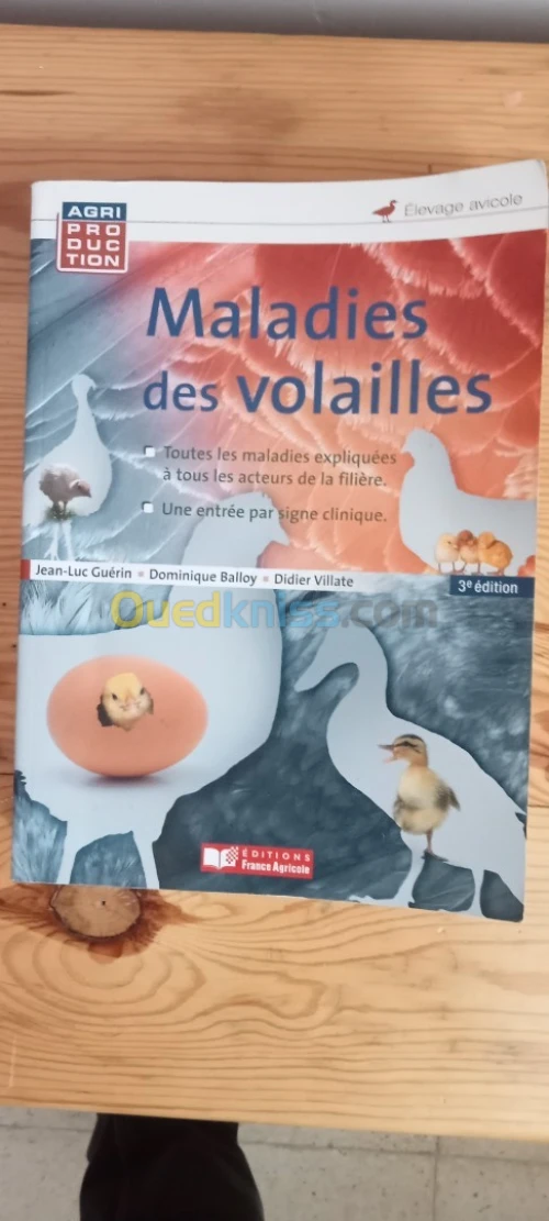 كتاب امراض الطيور 