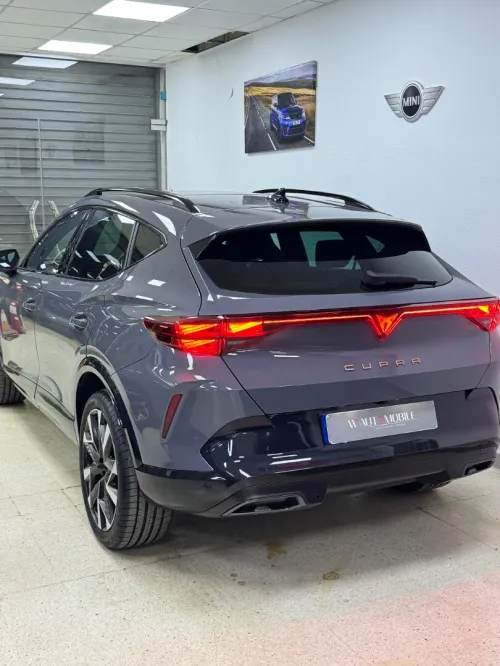 Seat Cubra 2026 Formentor