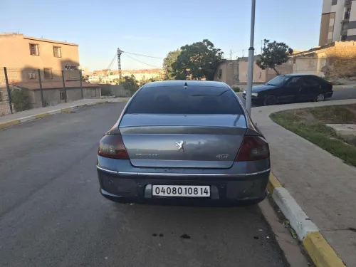 Peugeot 407 2008 407