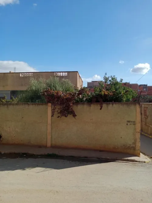 Vente Villa Chlef Ain merane