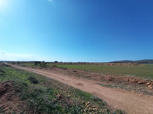 Vente Terrain Oran Hassi ben okba