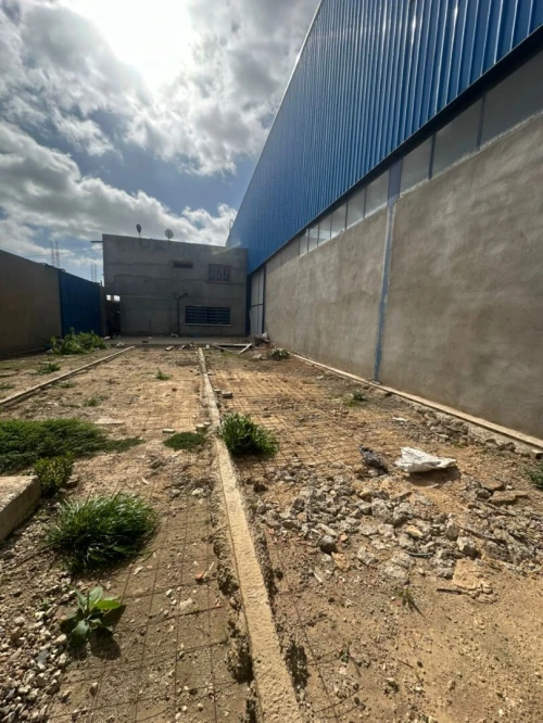 Location Hangar - Usine Oran El Kerma