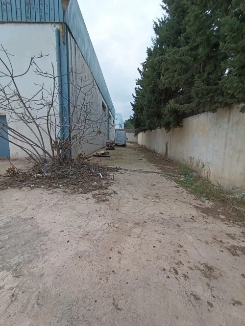 Location Hangar Oran Es senia