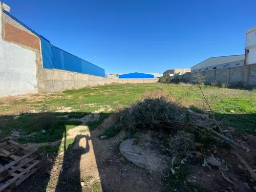 Vente Terrain Oran Oued tlelat