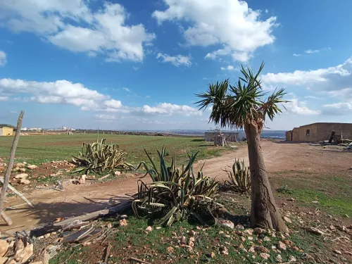 Vente Terrain Oran Hassi ben okba