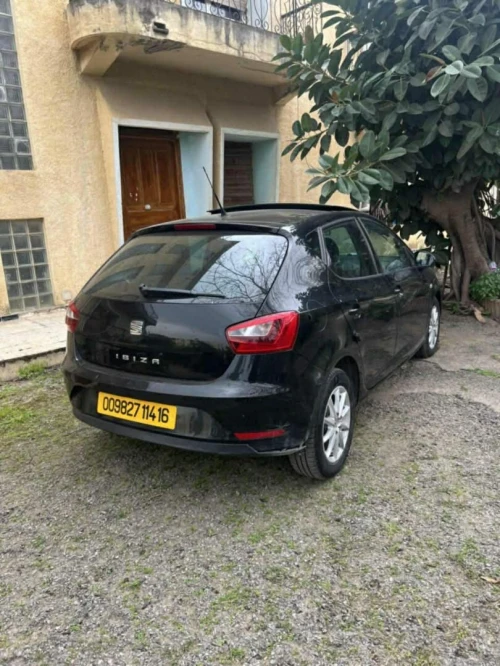 Seat Ibiza 2014 Ibiza