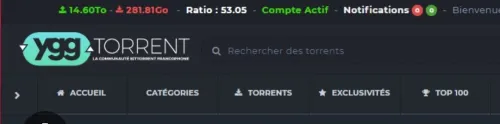 YGGTORRENT Ratio 2025