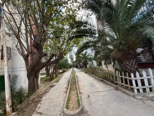 Location Appartement F3 Alger Cheraga