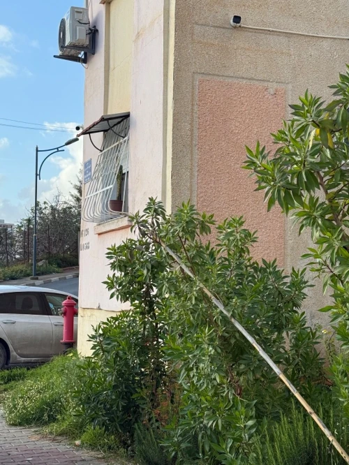 Vente Appartement F3 Alger Birkhadem