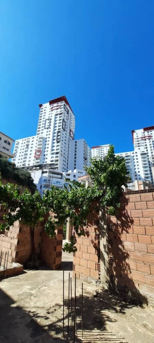 Vente Villa Alger Birkhadem