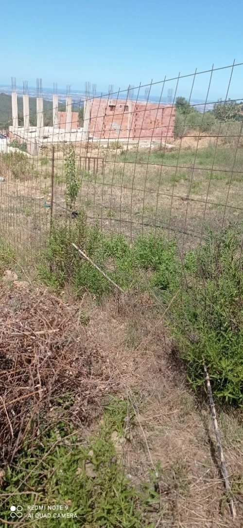 Vente Terrain Blida Meftah
