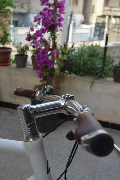 Schindelhauer bike