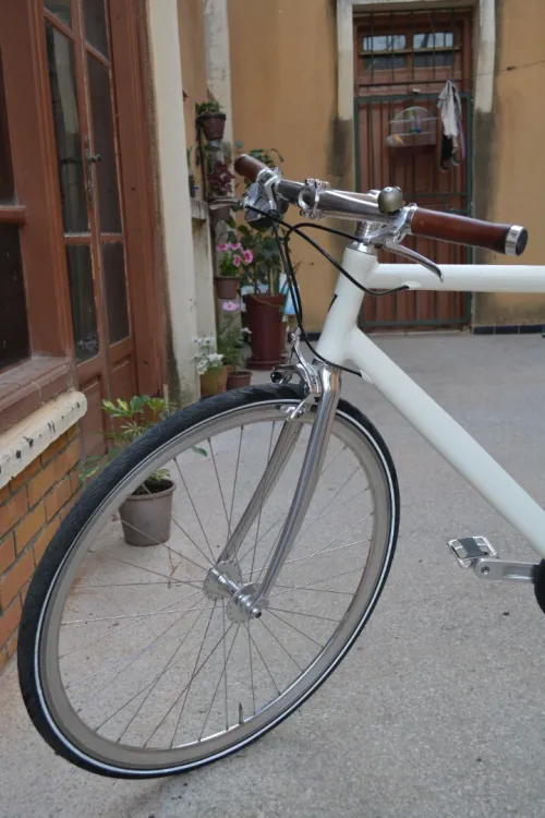 Schindelhauer bike